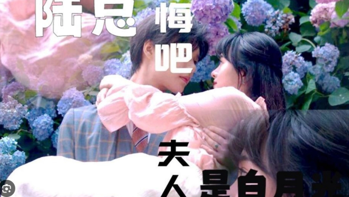 Found Too Late (陆总忏悔吧,夫人才是你的白月光)