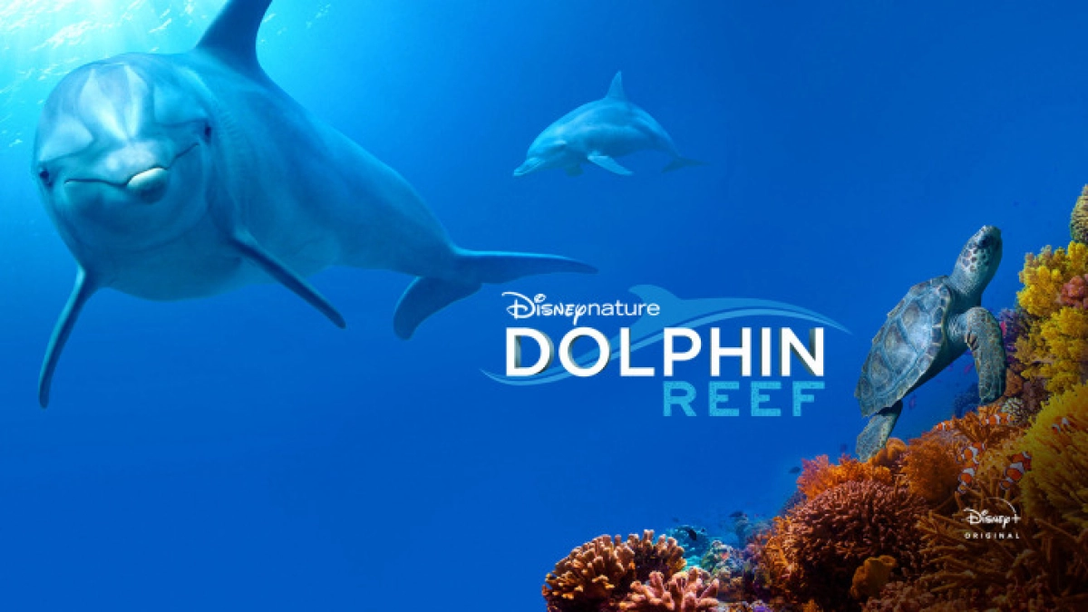 Rạn San Hô Cá Heo (Dolphin Reef)