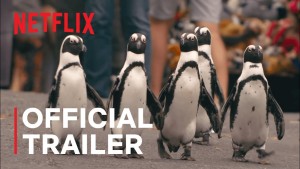 Thị trấn cánh cụt (Penguin Town)